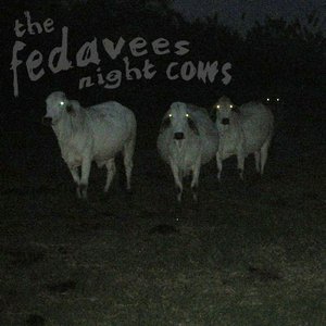 Image for 'Night Cows'