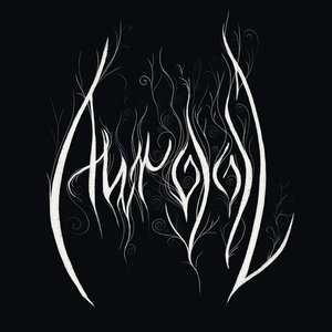 Auraal 的头像