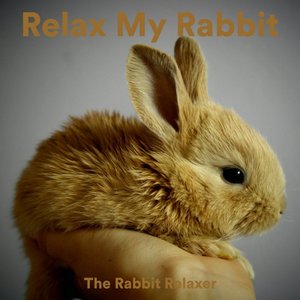 The Rabbit Relaxer 的头像