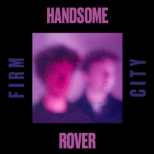 Handsome Rover