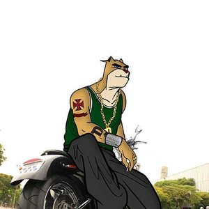 Dogão 的头像