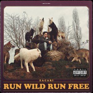 Run Wild Run Free [Explicit]