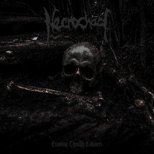 Crawling Through Cadavers