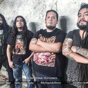 INTESTINAL PESTILENCE 的头像