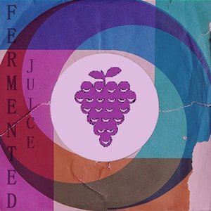 Avatar for Fermented juice