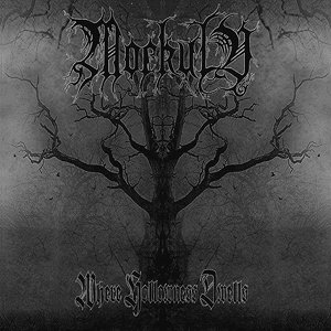 Where Hollowness Dwells