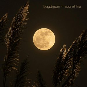 Moonshine