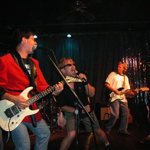 Tutu & the Pirates 的头像