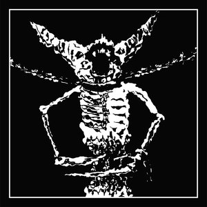 Alkeryth 的头像