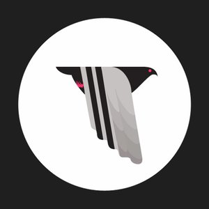 Avatar for Pigeons & Planes