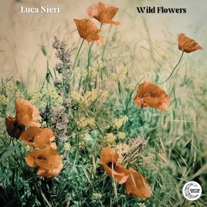 Wild Flowers