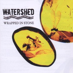 Wrapped in Stone cover