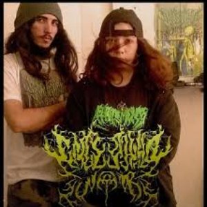 Encephalo Swarm 的头像