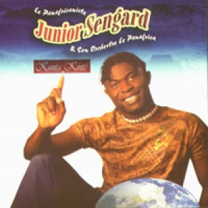 Kunta Kinte Roots cover
