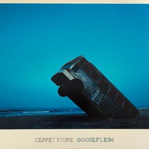 GOOSEFLESH