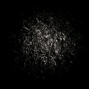 What's Beyond the Light?