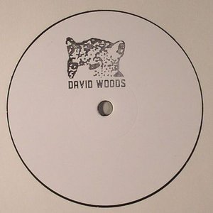 Avatar for David Woods