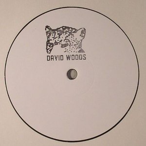 David Woods 的头像