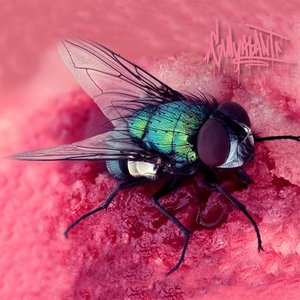 Hazırım Ölmeye - Single