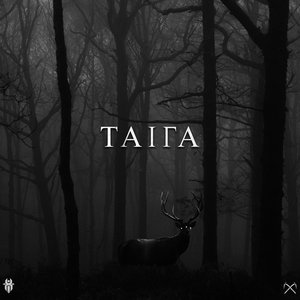 Taiga