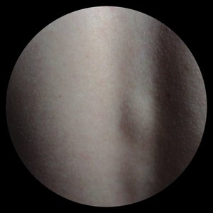 Exit Flesh EP