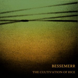 The Cultivation Of Rice