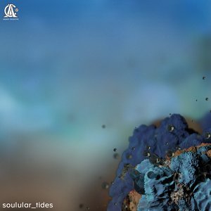 Tides