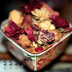 Potpourri of Intentions