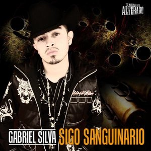 Avatar de Gabriel Silva