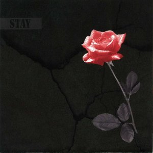 STAY