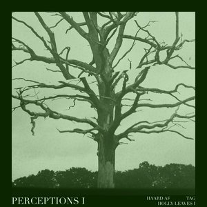 Perceptions I - Single
