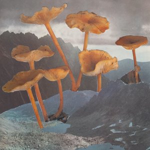 In The Beginning There Was Driftscape