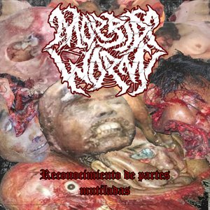 Reconocimiento De Partes Mutiladas