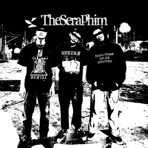 Image for 'The Seraphims'