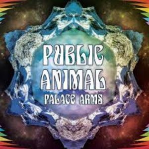 Palce Arms