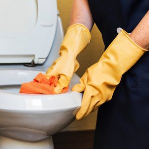 Cleaning The Toilet (Deluxe)