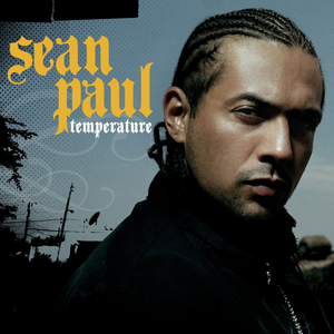 Pitbull Sean Paul Lil John - Temperature - Single - Zortam Music