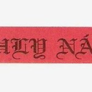 Rýchly Nápor 的头像