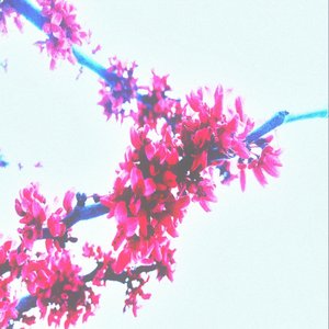 compilation II