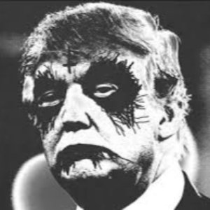 MetalTrump 的头像