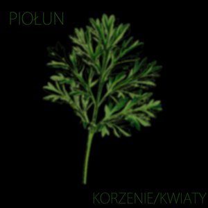 Piołun