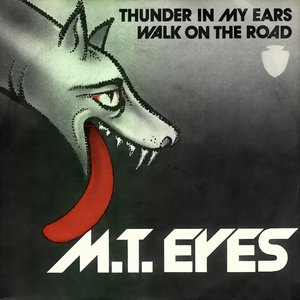 Thunder in My Ears