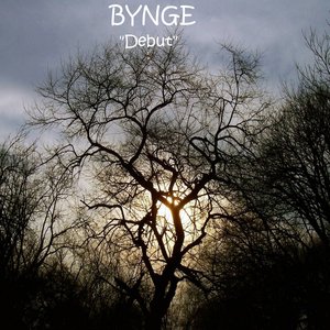 Аватар для Bynge