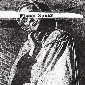 “Flesh spear”的封面