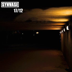 synvase 的头像