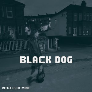 Black Dog