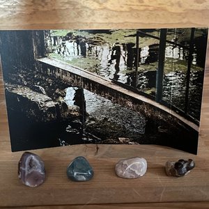 Avatar for Devour Every Star