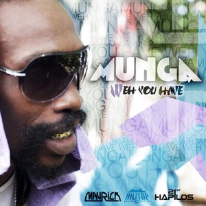 Weh You Have - Single