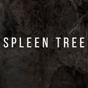 Avatar for Spleen Tree