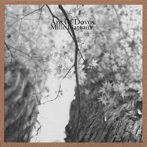 Mille Plateaux cover